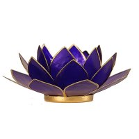 Ljus, Lykta Lotus