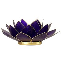 Ljus, Lykta Lotus