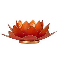 Ljus, Lykta Lotus