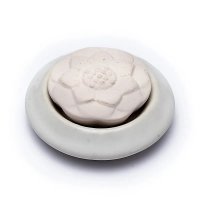 Aromasten, Lotus Vit Storpack