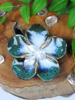 Display, Fat Blomma