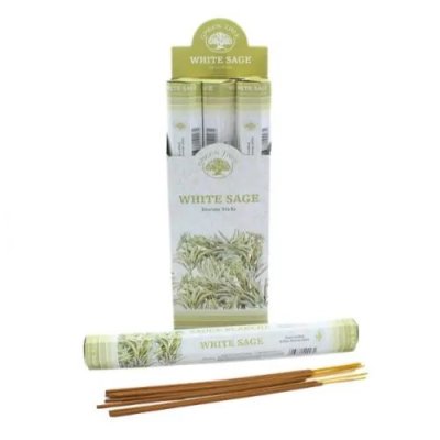Rökelsepinnar, Green Tree White Sage & Eucalyptus Box
