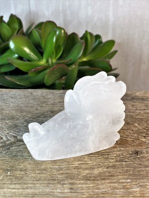 Rock Crystal, Dragon Skull