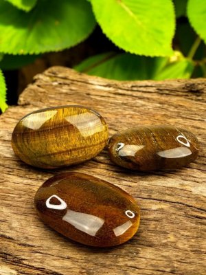 Tiger Eye, Palmstone