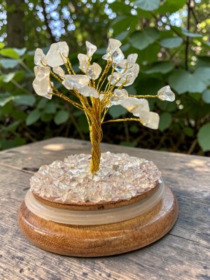 Rock Crystal, Crystal Tree with Glass Dome