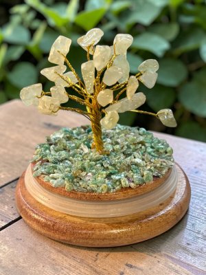 Aquamarine, Crystal Tree with Glass Dome